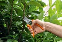 STIHL PG 10 - Snoeischaar
