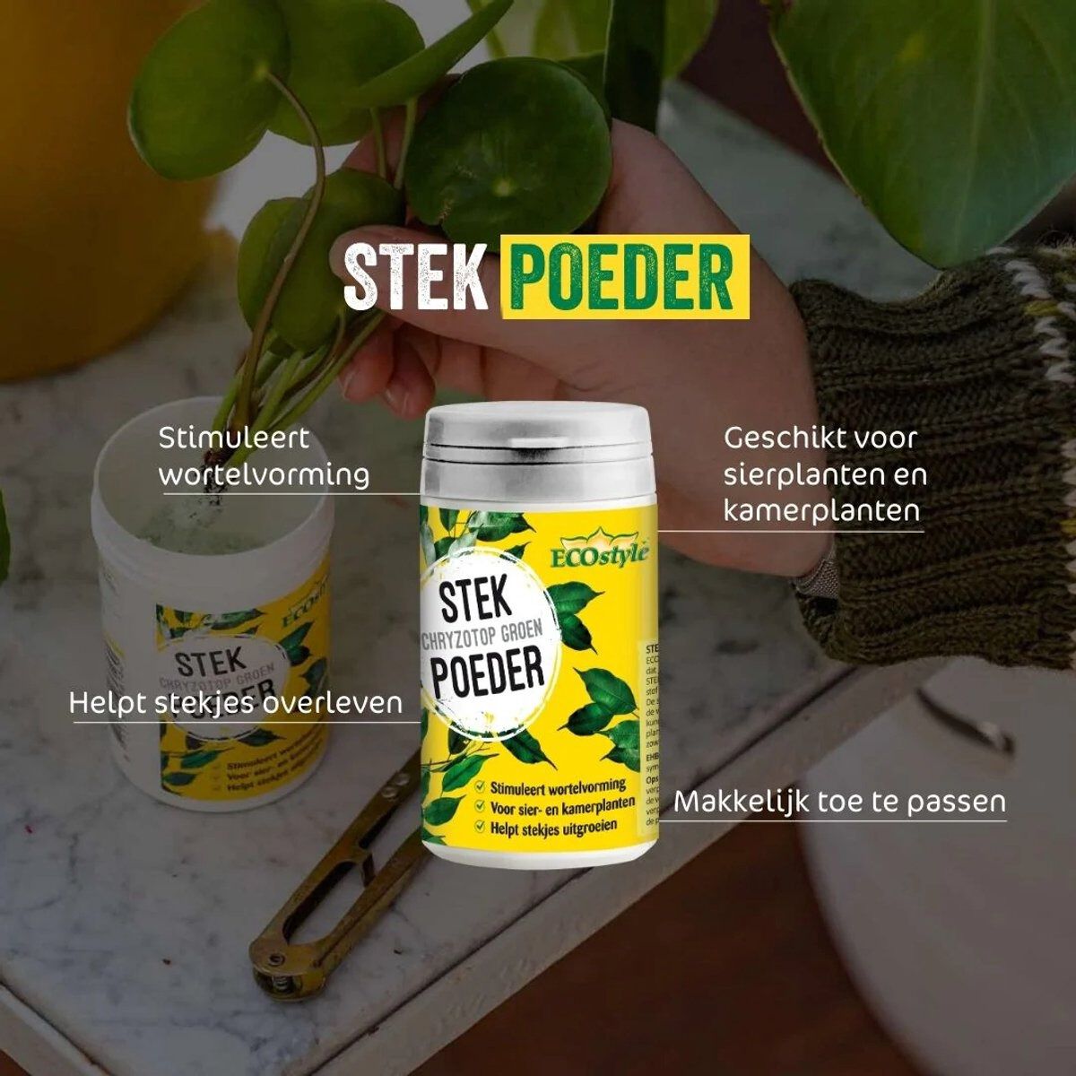 ECOstyle - Stekpoeder - 25 Gram