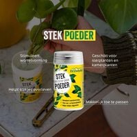 ECOstyle - Stekpoeder - 25 Gram