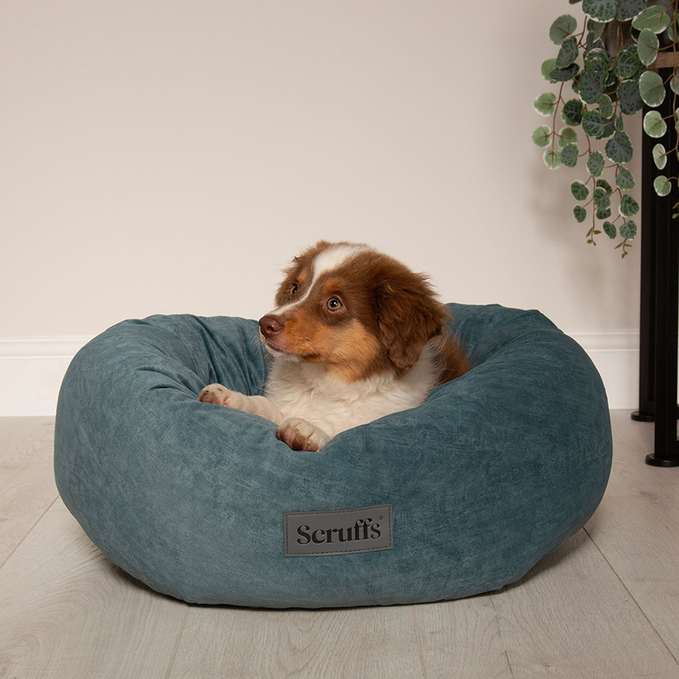 Scruffs Oslo Ring Bed - Hondenmand - turquiose - 2XL