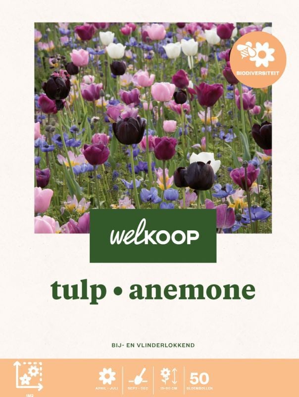 Welkoop Tulp Anemone Biodiversiteit - Bloembollen