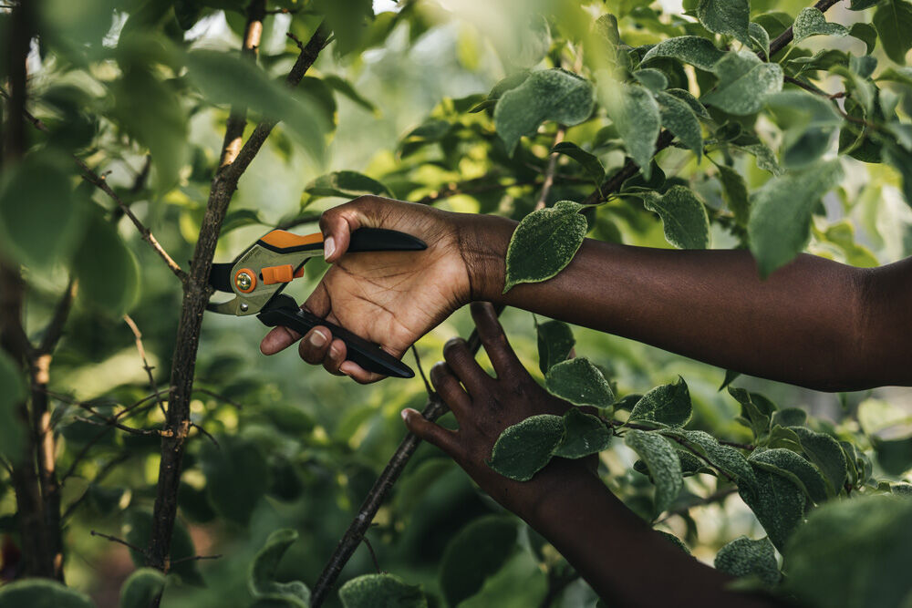 Fiskars Solid Bypass P331 Metalen - Snoeischaar