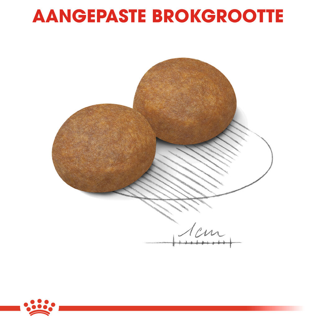 Royal Canin SHN Maxi Adult 5+ - Hondenvoer - 15 Kilogram - gevogelte