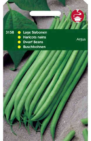 Hortitops Haricot Phaseolus Vulgaris L. Vert Argus - Sla- of sperziebonen