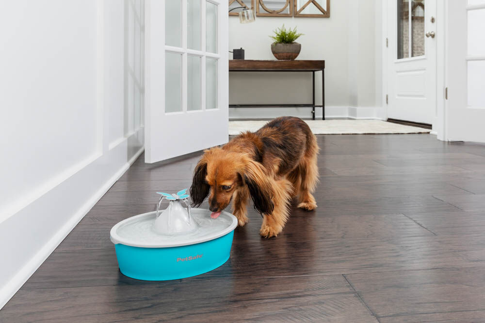 Petsafe Butterfly - Drinkfontein - 0.5 l - Blauw - 31x23x23 cm