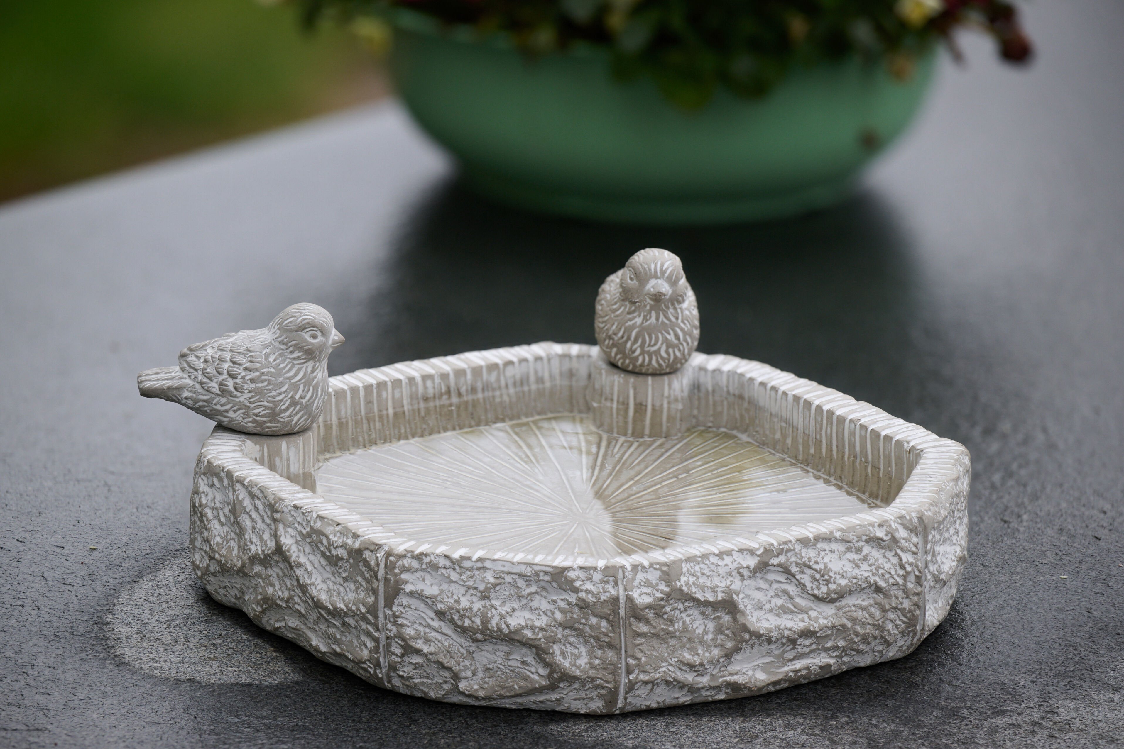 CJ Wildlife Varese - Waterschaal - Tuinvogels - Grijs - 6.8x26.3x26.3 cm