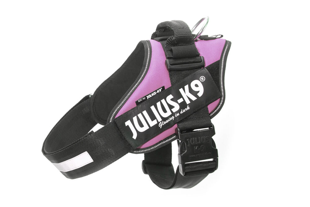 Julius K9 IDC - Hondentuig - lichtroze - Maat 1 Julius K9 IDC - Hondentuig - lichtroze - Maat 1