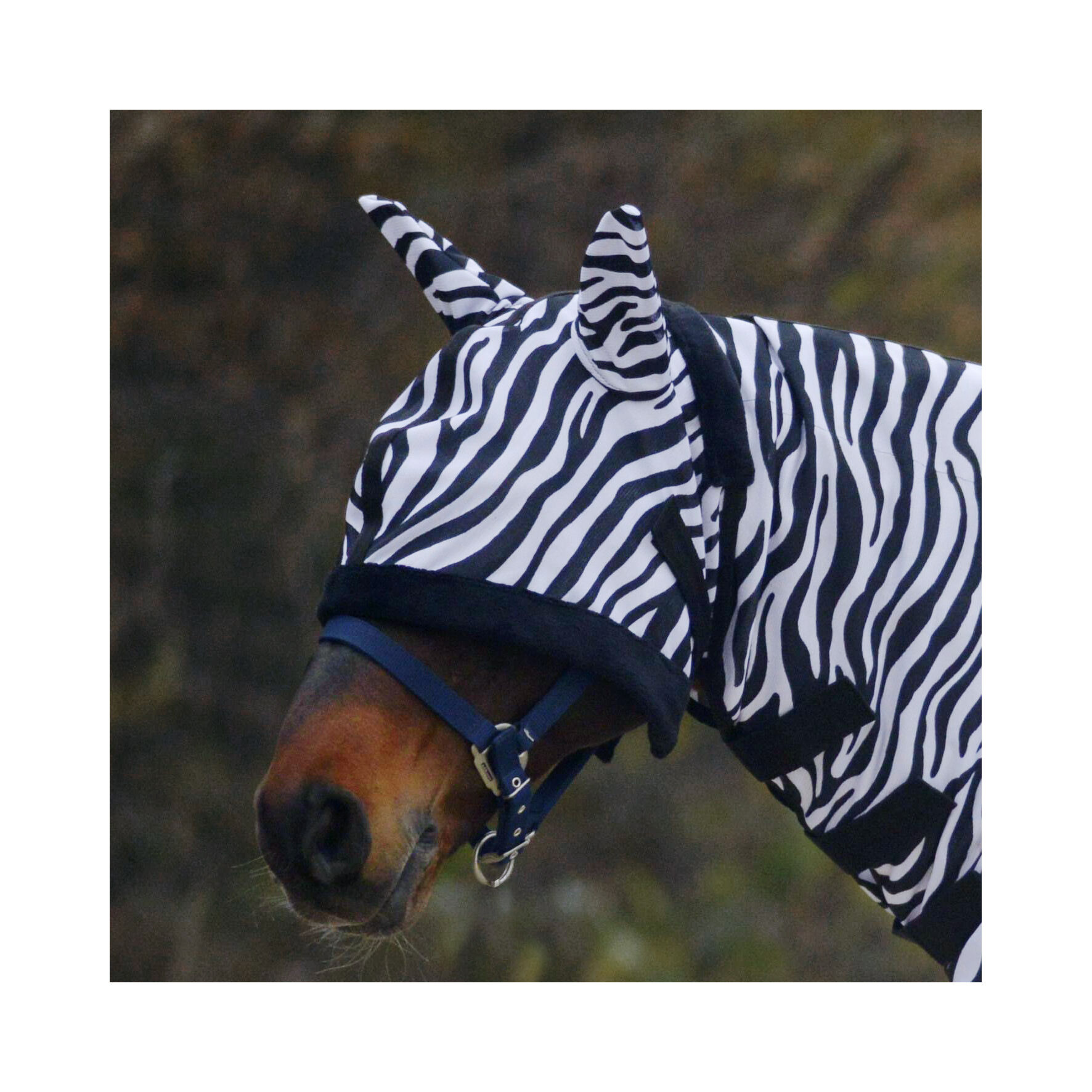 Waldhausen - Vliegenmasker