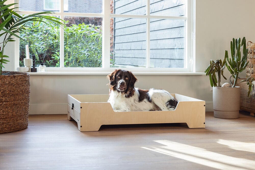 Designed by Lotte Quirine - Hondenbench meubel - zwart/hout - 71x81x57 cm - M