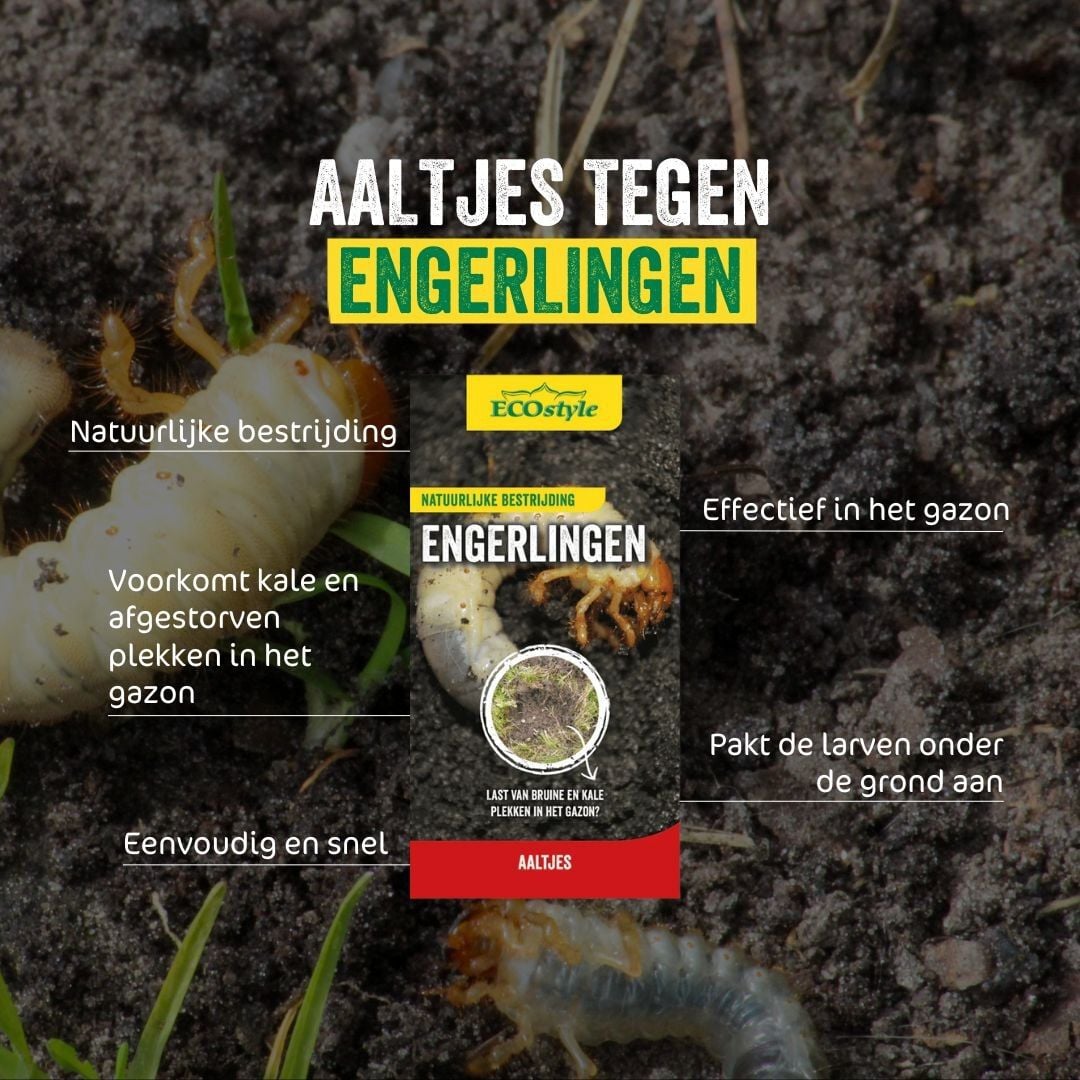 ECOstyle Aaltjes - Tegen Engerlingen - 1000 m2 - Aaltjes
