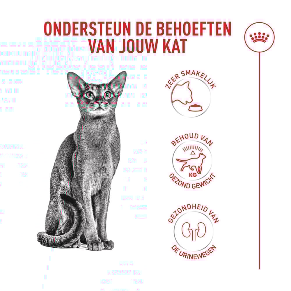 Royal Canin Fussy Exigent - Kattenvoer - 2 Kilogram