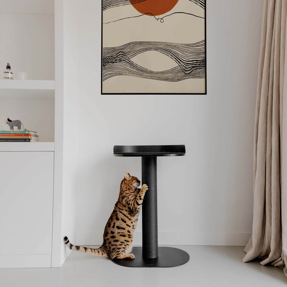 District 70 OASIS 80 - Krabpaal - Zwart - 80x35x74 cm
