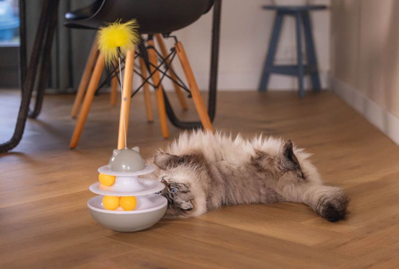 Beeztees Sapi - Kattenspeeltje - Grijs