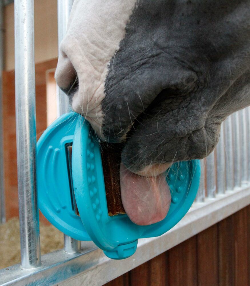 Bizzy Ball - Liksteenhouder