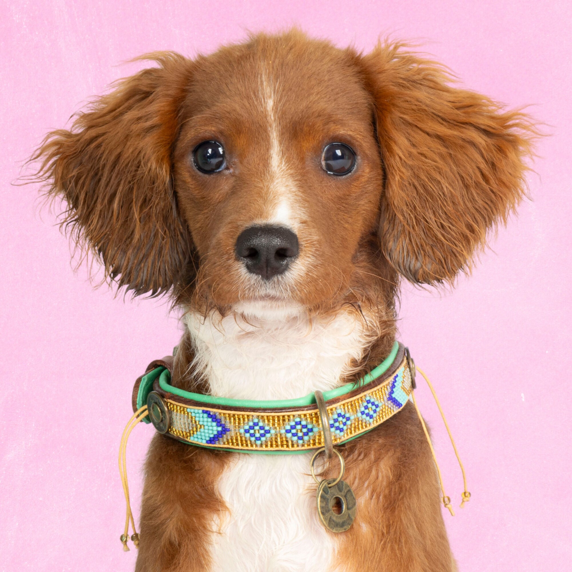 Dwam Indi Moon - Halsband Hond - Goud - 30 tot 33 cm