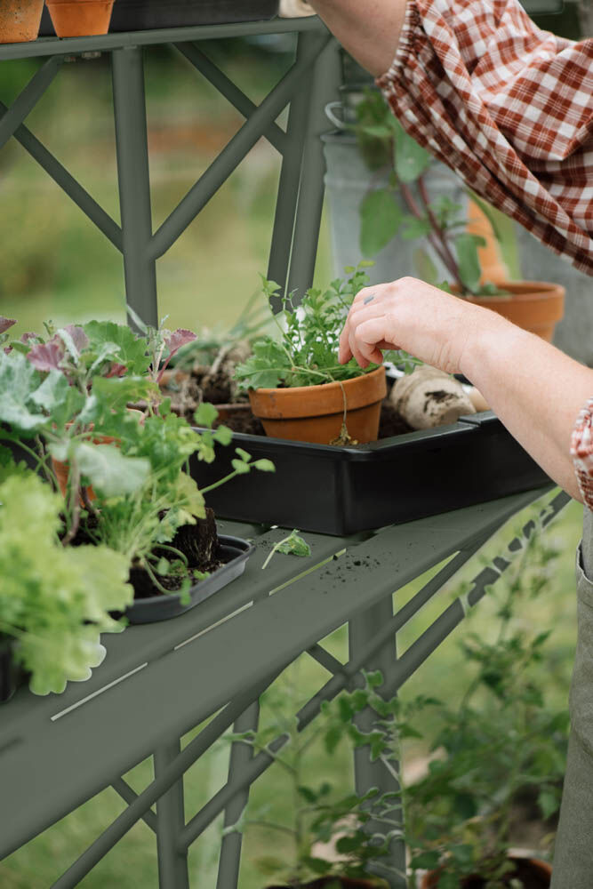 Royal Well Mary II - Kweektafel - Groen - 2.5x42.5x277.6 cm Royal Well Mary II - Kweektafel - Groen - 2.5x42.5x277.6 cm