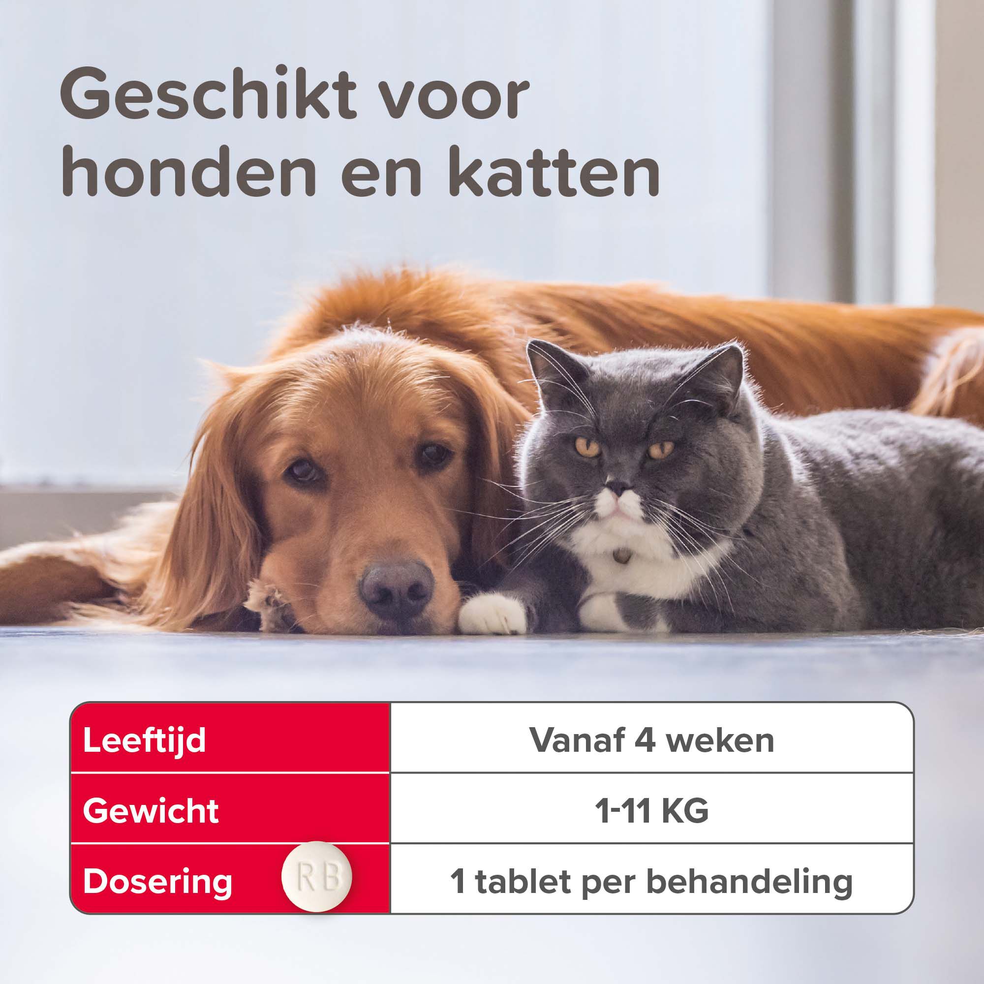 Beaphar Vlo Kill Hond en Kat tot 11kg - Vlooienmiddel - 6 Meter