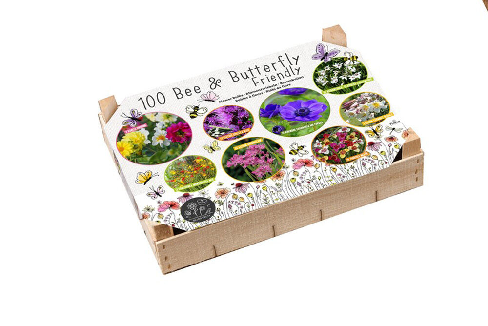 Florex Big Box Biodiversiteit - Bloembollen Florex Big Box Biodiversiteit - Bloembollen