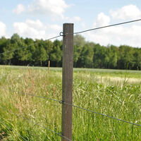 Gallagher Insultimber Tussenpaal - Afrasteringspaal - 3.8 cm - 180 cm - 180 cm