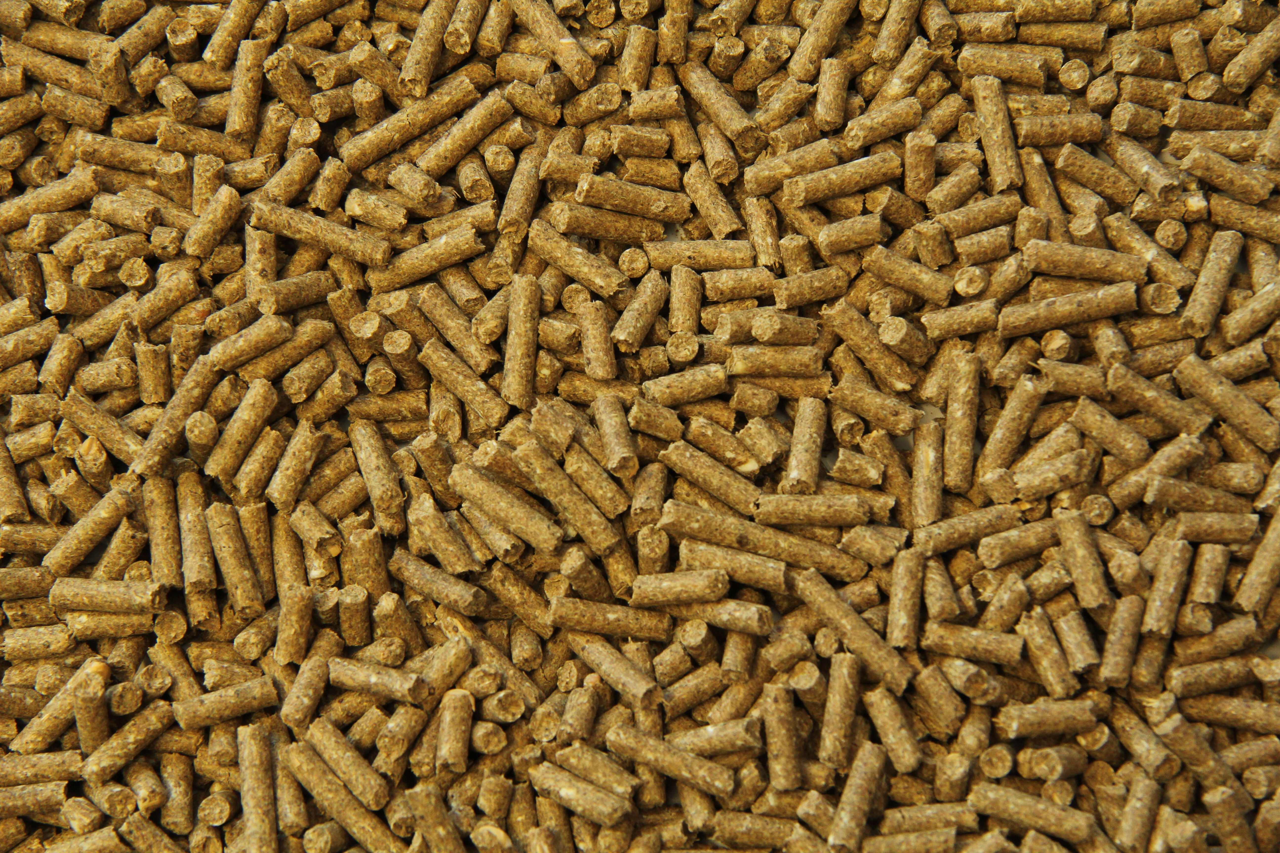 Subli Sport/ prestatie Brok - Paardenvoer - 20 Kilogram - Zak