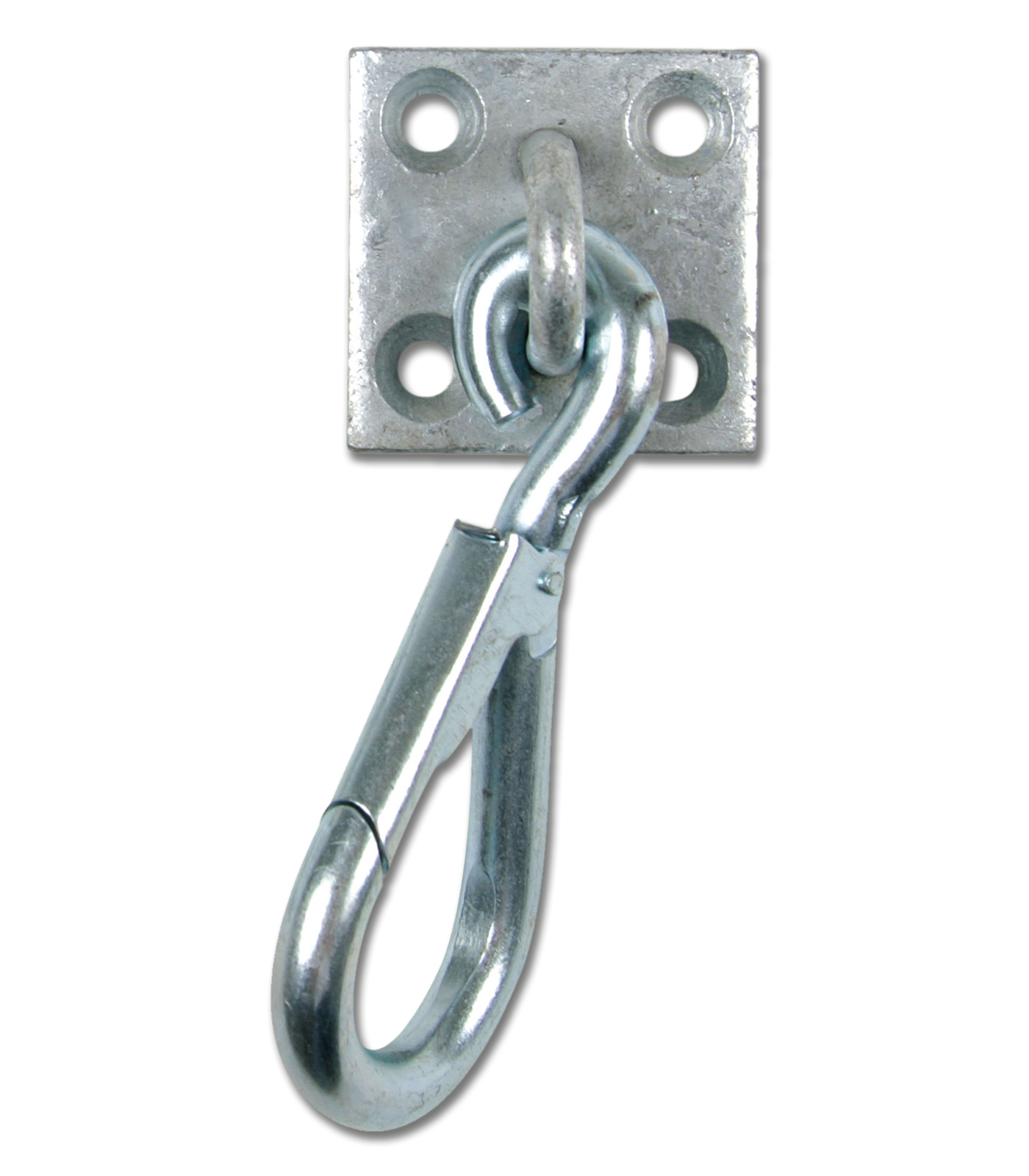 Waldhausen - Karabijnhaak aan muurplaat