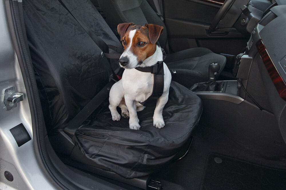 Karlie Cover-up - Autostoel Beschermhoes Hond