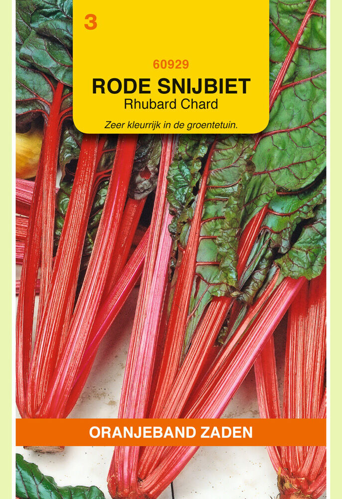 Oranjeband zaden Snijbiet Rhubarb Chard - Groentezaden