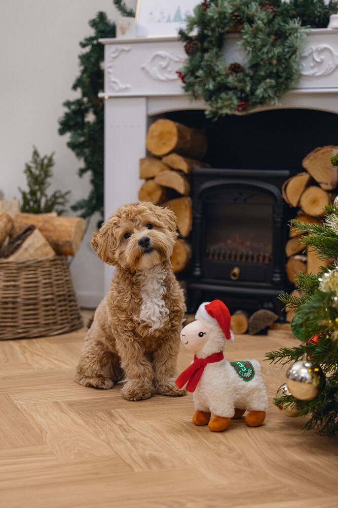 Beeztees Pluche Kerst  Lama Knuffel - Hondenspeelgoed - Wit - 29x20x20 cm