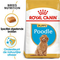 Royal Canin Poedel Junior - Hondenvoer - 3 Kilogram - gevogelte