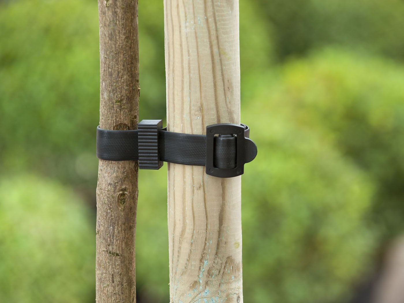 Nature Boomband - 45x2.5cm - Touw en Bindmaterialen