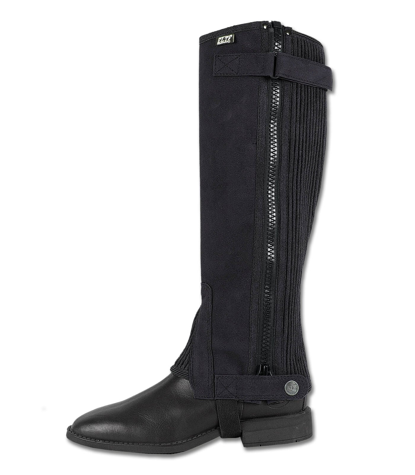 Elt Daily - Chaps Elt Daily - Chaps