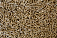 Voermeesters Veulen - Fokkerij - 20 Kilogram - Zak