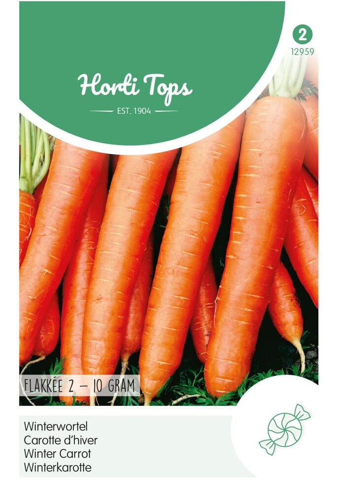 Hortitops Winterwortelen Daucus carota Flakkee 3 Stompp - Groentezaden