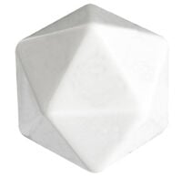Interline Absorberend - Zwembadspons - 2 Stuks