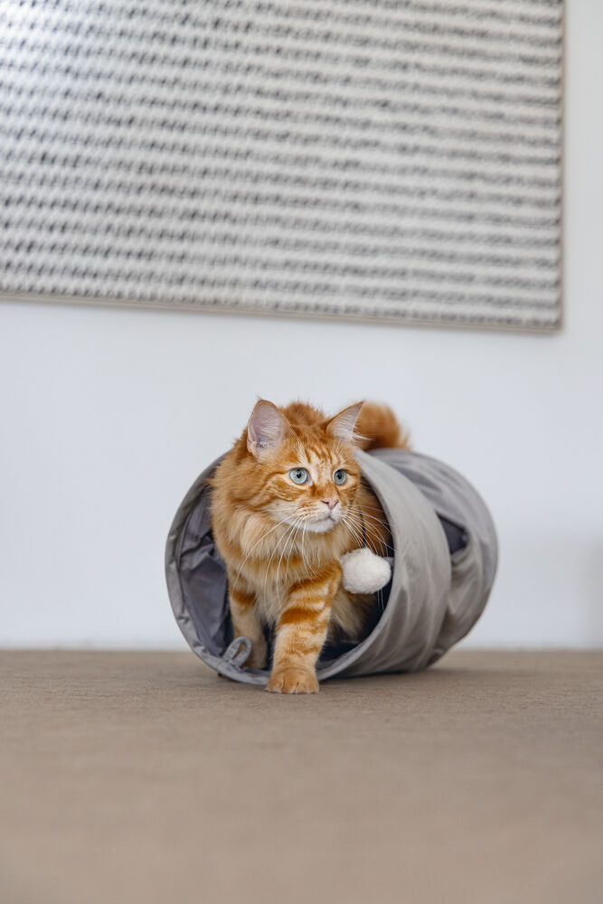 Designed by Lotte Cylla - Kattentunnel - Grijs