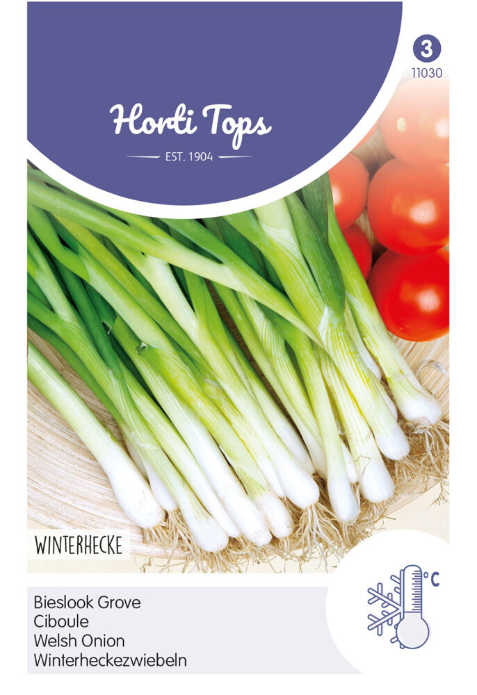 Hortitops Bieslook Allium fistulosum Grove - Allium Fistulosum - Kruidenzaden