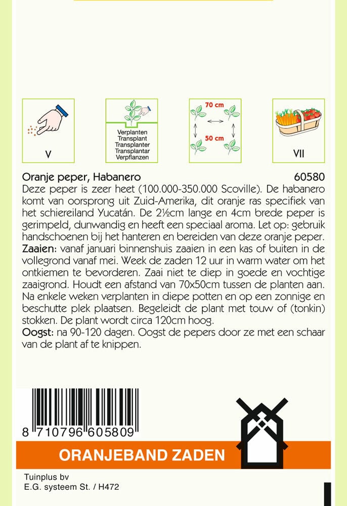 Oranjeband zaden Peper Habanero Oranje - Groentezaden