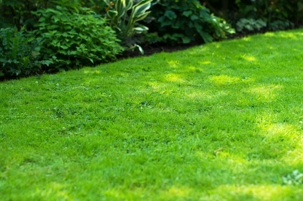 ECOstyle Gazon AZ-Kalk - 4-seizoenenkalk - 265 m2 - 20 Kilogram