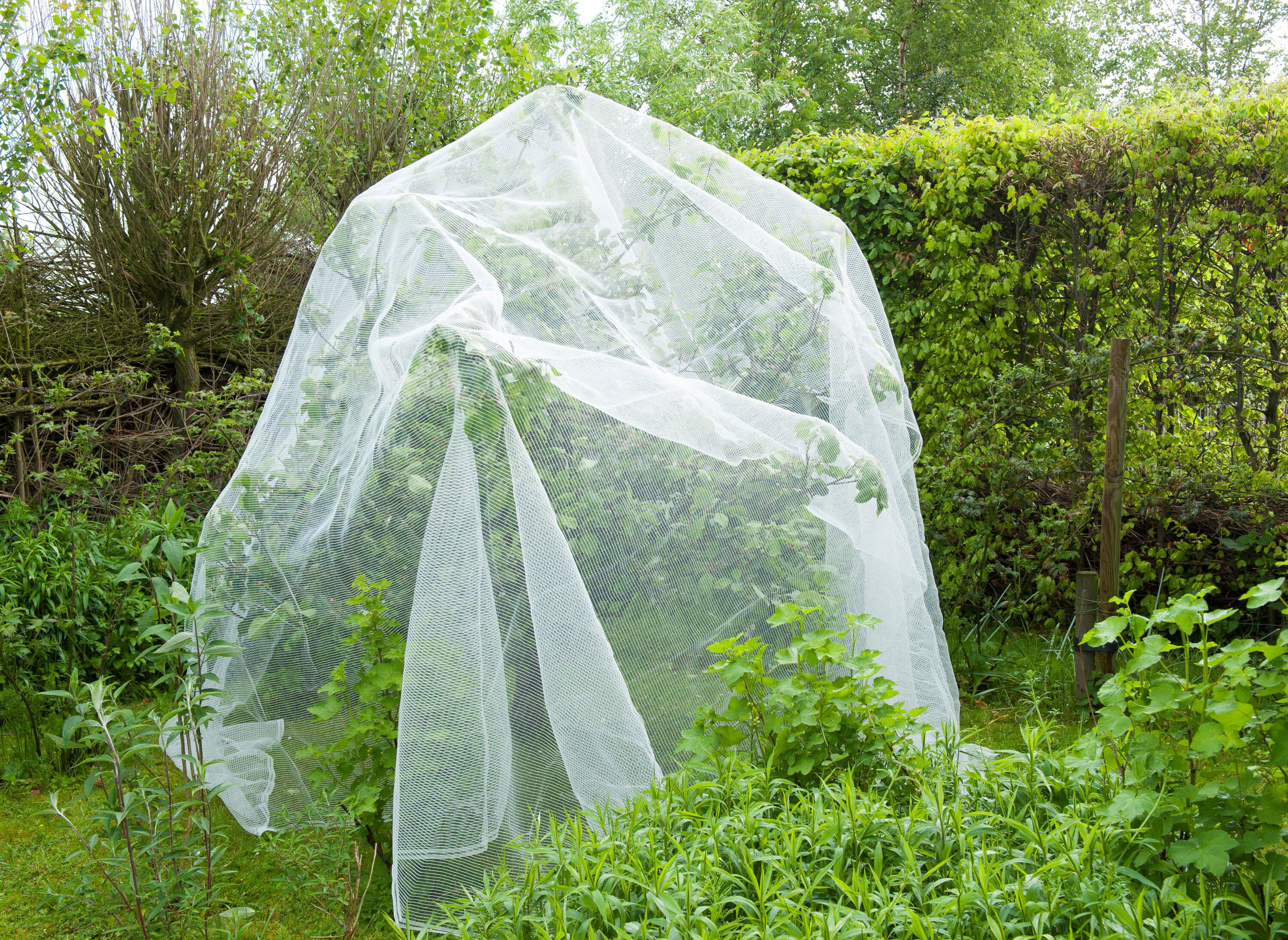 Nature Tuinnet Tegen rupsen 5.2x5m -Kweekbenodigdheden - Wit - 14x47x9.5 cm