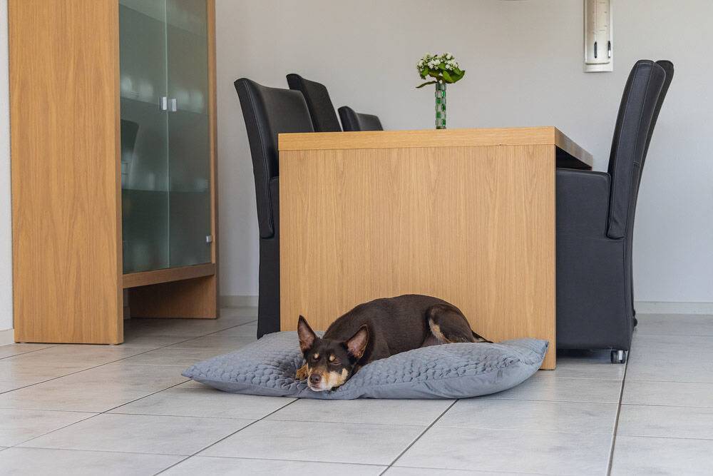 Karlie Velvet - Hondenkussen - Donkergrijs - 15x70x100 cm - Groot