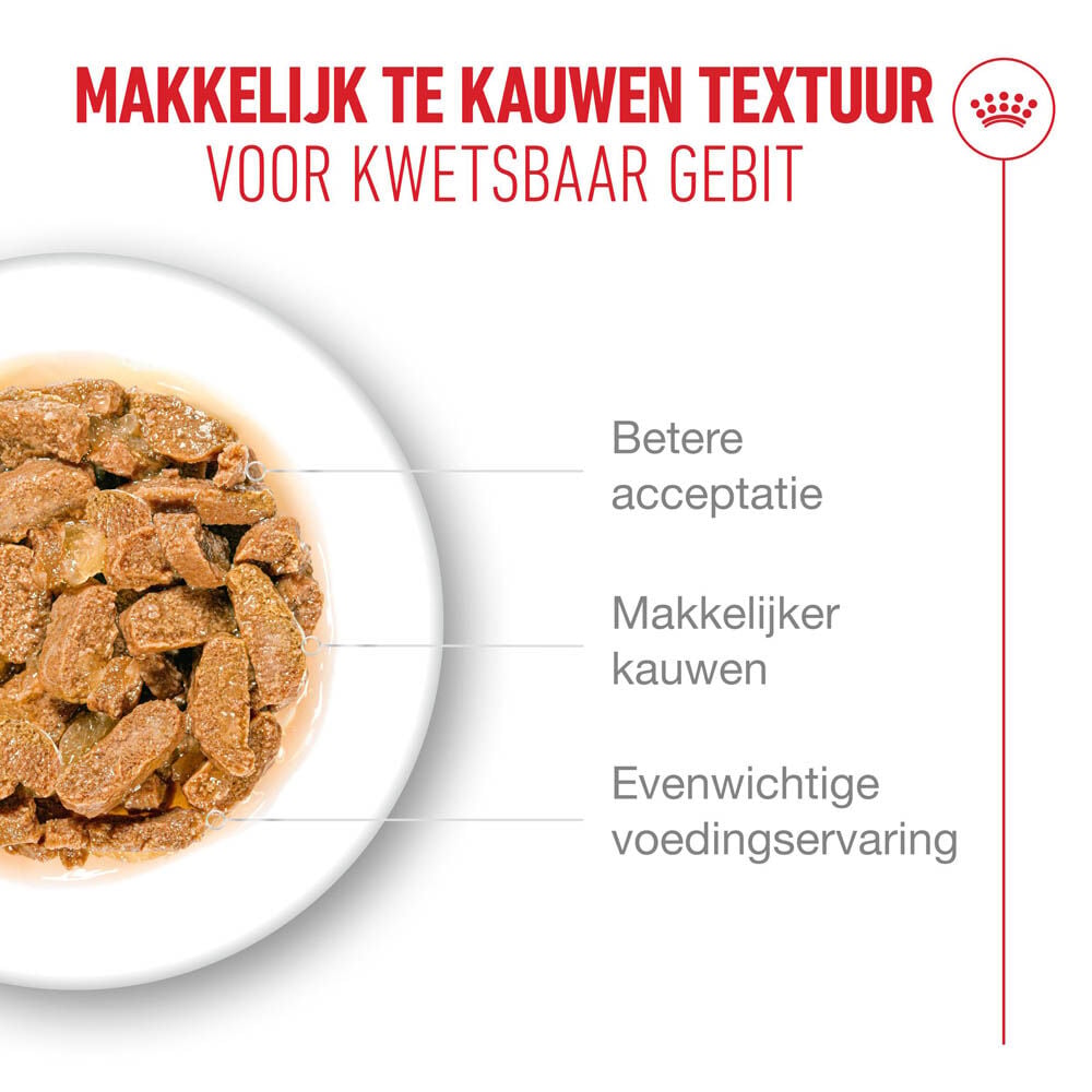 Royal Canin Ageing 11+ - Kattenvoer