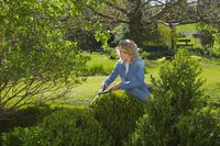 Gardena PrecisionCut - Hand heggenschaar
