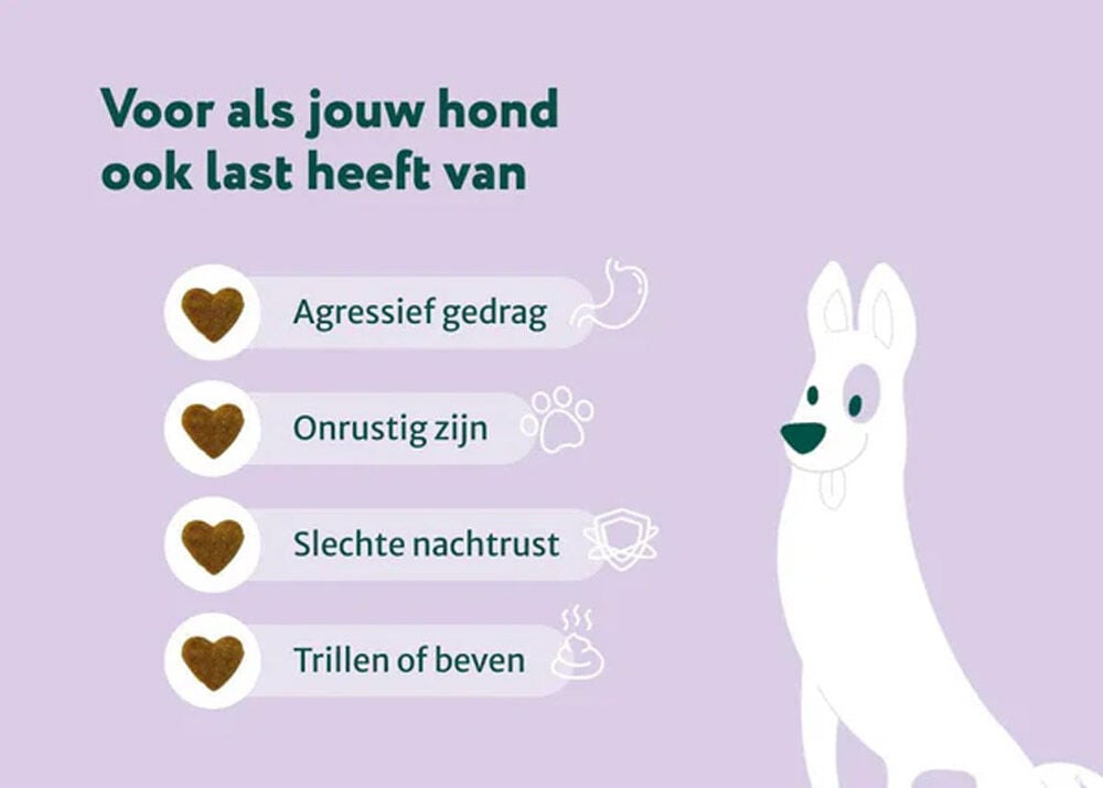 Dogsuppy Anti-Stress & Angst - Supplement - Insect