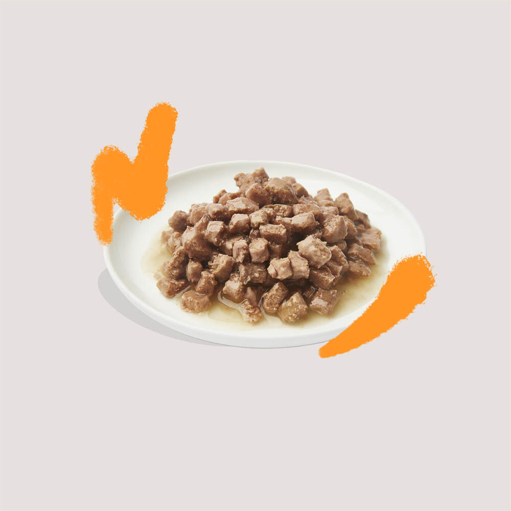 Edgard & Cooper Multipack Stukjes in saus - Kattenvoer - 8x85 gram - 85 Gram - lam, zalm, kip