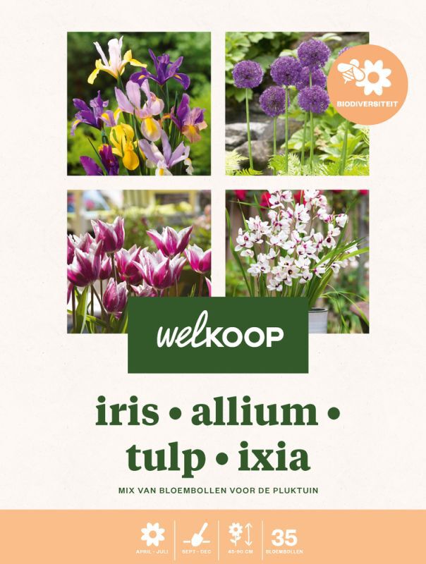 Welkoop Iris Allium Tulp Ixia - Biodiversiteit - Bloembollen