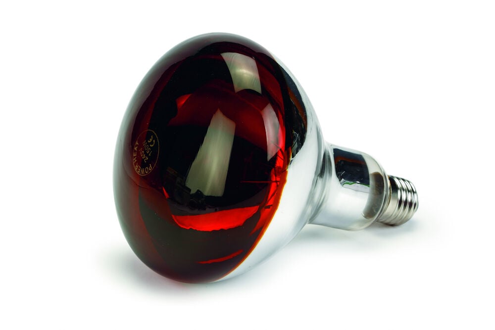 Olba Infrarood Warmtelamp - 18x12x12 cm