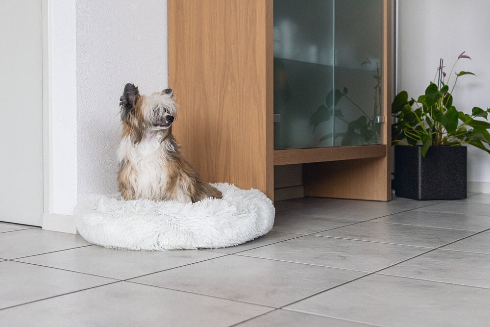 Karlie Agnes - Hondenmand - Wit - 17x76x76 cm - Groot