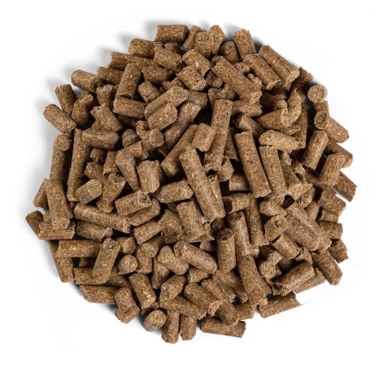 Equilannoo Active Cube - Sport/ Prestatie - 20 Kilogram