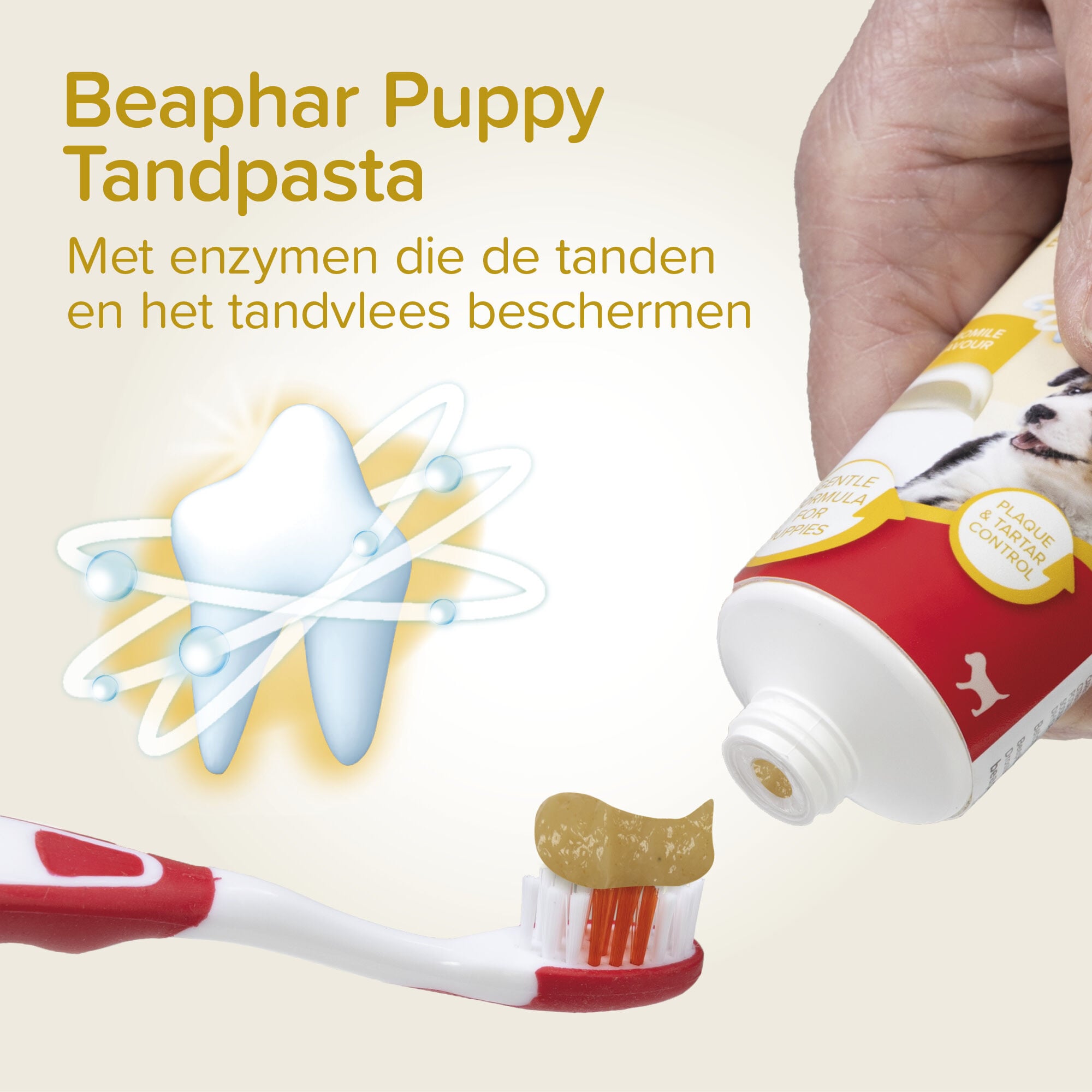 Beaphar - Tandenborstels en tandpasta - Hond - 3-delig combi-pack - Wit - 24.3x6.3x3.6 cm