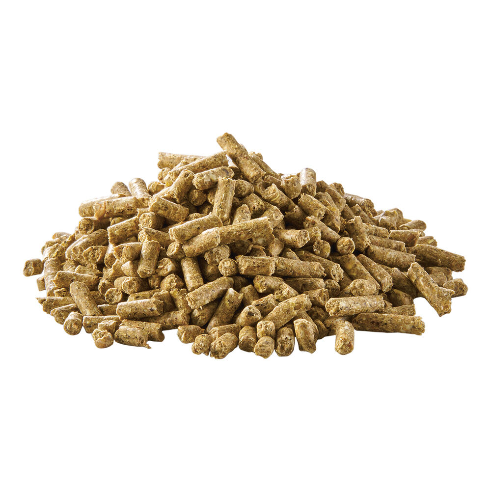 Welkoop Watervogelkorrel - Watervogelvoer - 20 Kilogram